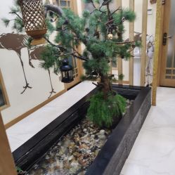 -芳朵美容养生SPA