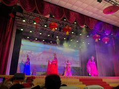 -瑞丽独树成林风景区