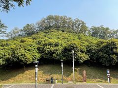 -立新湖公园