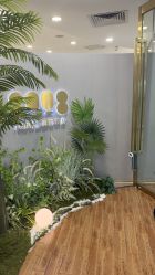 -八佰伴8008星级形象店