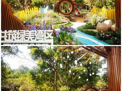 -莲花山公园