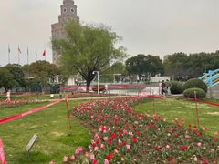 -中央公园(苏州工业园区)