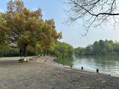 -西溪国家湿地公园