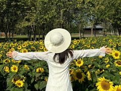 -汉长安城未央宫国家考古遗址公园