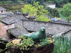 -杨家堂村