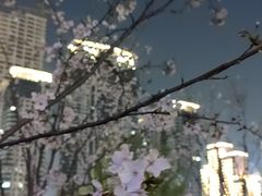 -西北湖绿化广场