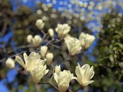 -百家班(市府店)