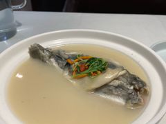 东坡河豚-肆月河豚·新淮扬(金融街店)
