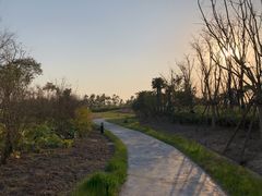 -春花秋色城市公园