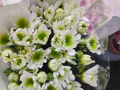 -循礼门鲜花花市(武汉循礼门店)