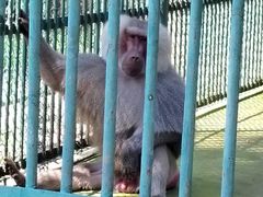 -秦皇岛野生动物园