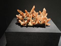 -山东博物馆