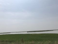 -哈素海