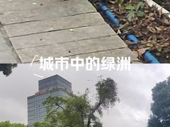 -荔湾湖公园