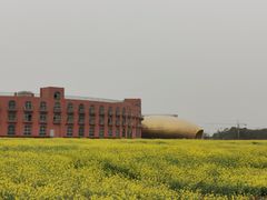-梁子湖东篱老屋生态庄园