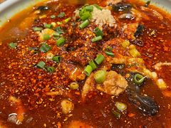 水煮肉片-海富荣·锅贴·陕菜家常菜(阳光城店)