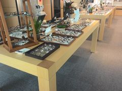 -Eziwish眼镜·蔡司授权店