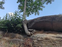 -白水寺森林公园