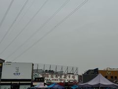 -中环花鸟鱼虫市场