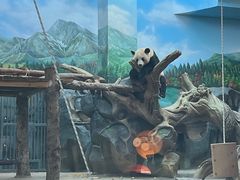 -武汉动物园