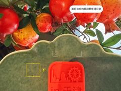 -福满满·精细佛跳墙火锅(湘江道店)