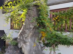 -常熟方塔园
