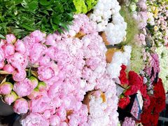-双季花艺园艺市场(浦东店)