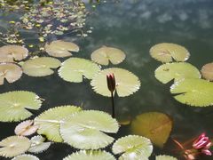 -国家植物园南园