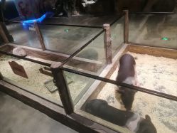 -造物庄园 萌宠纪(苏州湾歌林公园店)