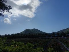 -亚龙湾国际玫瑰谷
