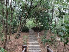 -厦门国家会计学院