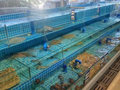 -双海酒店·非遗渔家菜(南戴河店)