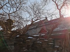 -白云观