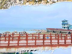 -养马岛旅游度假区