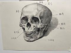-信马画室 成人零基础到个人创作画室(亚运村店)