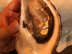 法国诺曼底白珍珠生蚝-斯普汇生蚝牛排馆(中骏世界城店)