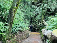 -碧峰峡风景区