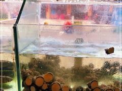 -渔鼎鲜海鲜餐厅(湄洲岛店)