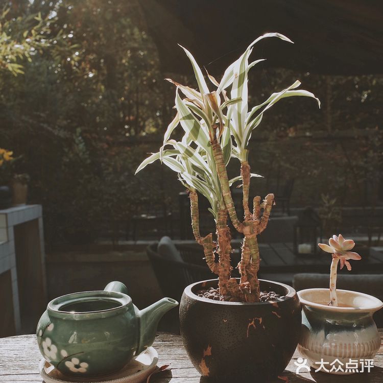 杭州旅行|住进灵隐景区的禅意国度