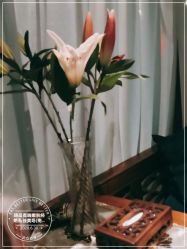 -琦品高端美容SPA私佳美场