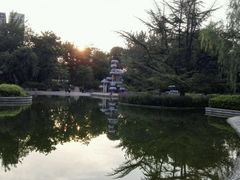 android_upload_pic-南馆公园