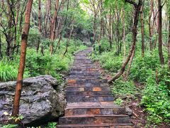 -白草畔自然风景区