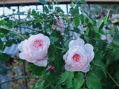 -至尚形象·化妆服饰搭配礼仪培训