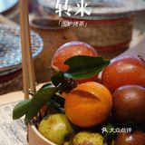 体验小时候的温暖烤茶