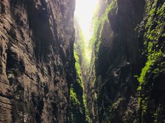-武陵山森林公园