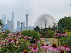 -北外滩滨江绿地