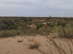 -亿利库布其七星湖沙漠生态旅游区