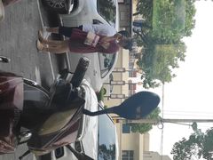 -壹只菜·崇明本地特色菜(崇明南门店)