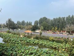 -静之湖度假区