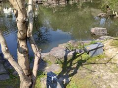 -绍兴古城